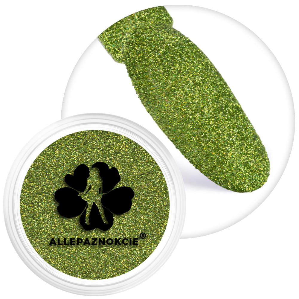 Brokat do paznokci w słoiczku Nr 77 2g