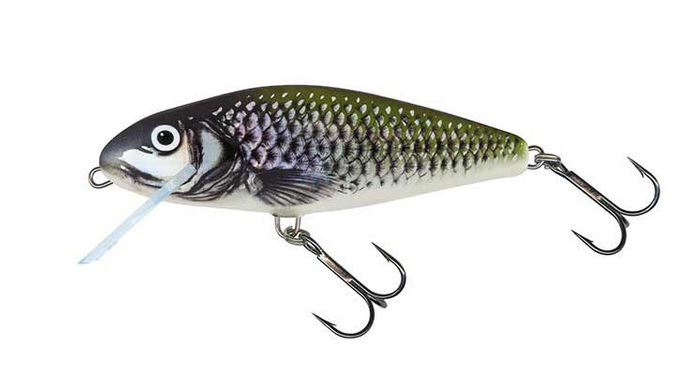 Salmo Wobler Perch Pływający 12cm Holo Bleak