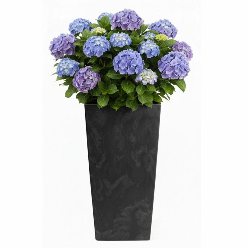 Doniczka ogrodowa Porto HowHomely imitacja czarnego betonu plastikowa h75x39,6x39,6 cm 1 szt.