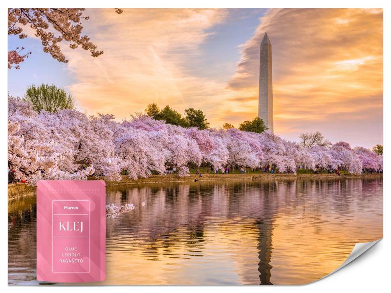 Fototapeta Muralo Waszyngton Zachód Słońca Natura 100x70 cm 1szt.