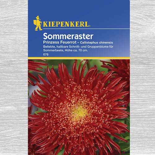 1 szt, Aster chiński Prinzess, czerwony - Nasiona: Ilość w opakowaniu: 1 opak