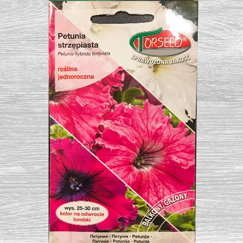 1 szt, Petunia strzępiasta Gottfried Michaelis - Nasiona: Ilość w opakowaniu: 0.1 g