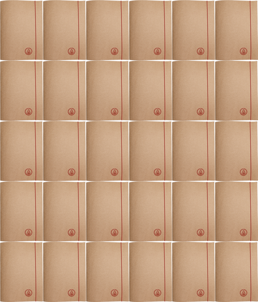 100x Teczka kartonowa z gumką Barbara Eco, A4+, 300g, ogień