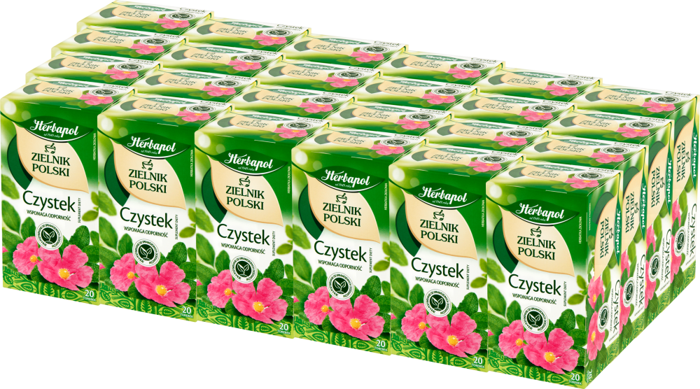 24x Herbata ziołowa w torebkach Herbapol Zielnik Polski, czystek, 20 sztuk x 2g
