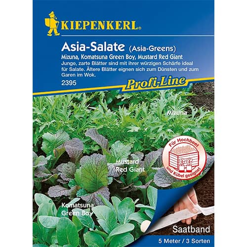 1 szt, Asia - Salate (Saatband) - Samen: Ilość w opakowaniu: 1 Stück