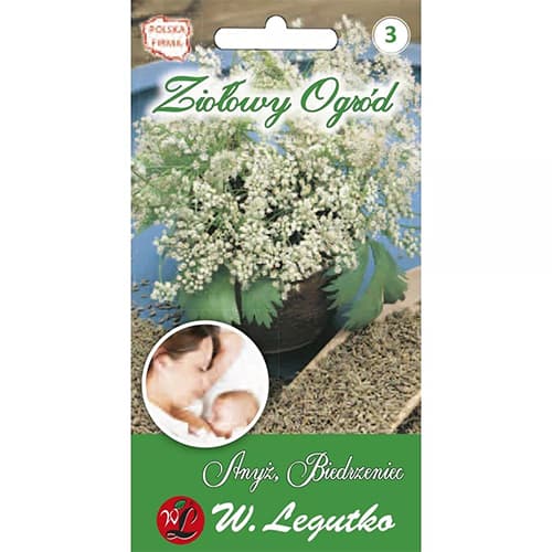 1 szt, Anis Legutko - Samen: Ilość w opakowaniu: 1 g