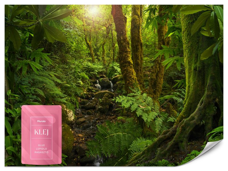 Fototapeta Muralo Zieleń w Lesie Drzewa 100x70 cm 1szt.