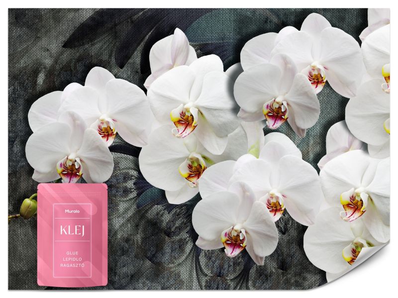 Fototapeta Muralo Białe Storczyki Kwiaty Natura 100x70 cm 1szt.