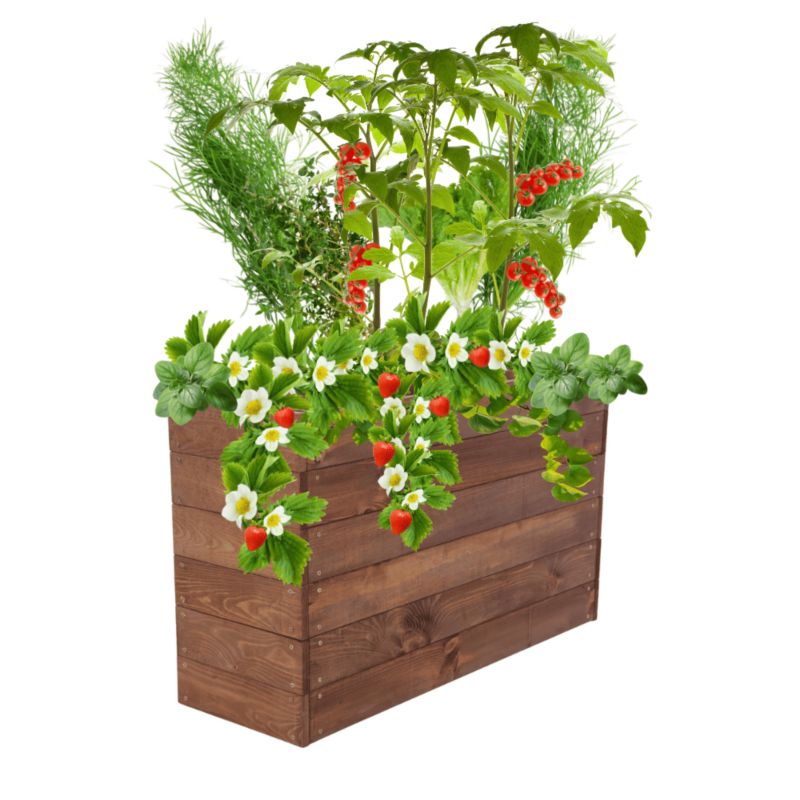 Warzywniak MODO24 grządka podwyższona brązowa impregnacja 54x93x30 cm 1 szt.