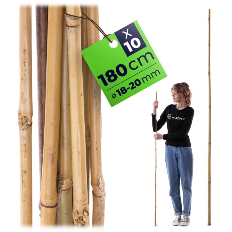 Paliki bambusowe KADAX do roślin 180 cm x 18/20 mm 10 szt.