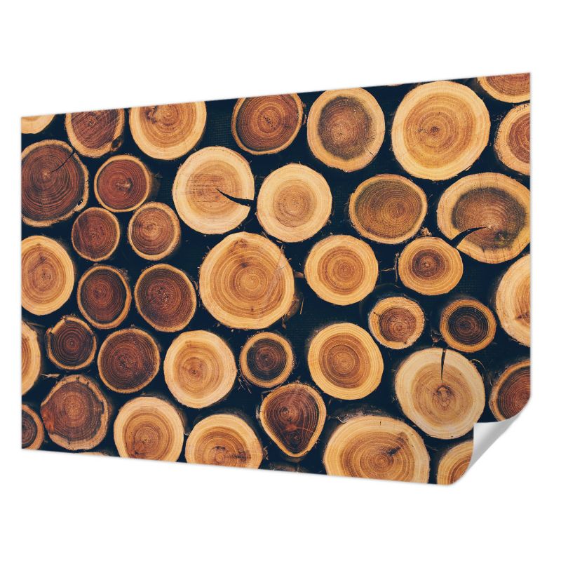 Tapeta samoprzylepna Tulup 208x146 cm Drewniane kręgi Tapeta Do Salonu, Sypialni, Przedpokoju 1 szt.