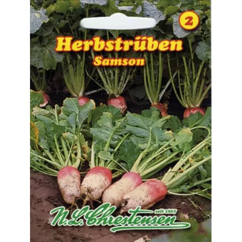 1 ob, Brukev řepák Samson - : Monžstvo balíkov: 1 ob