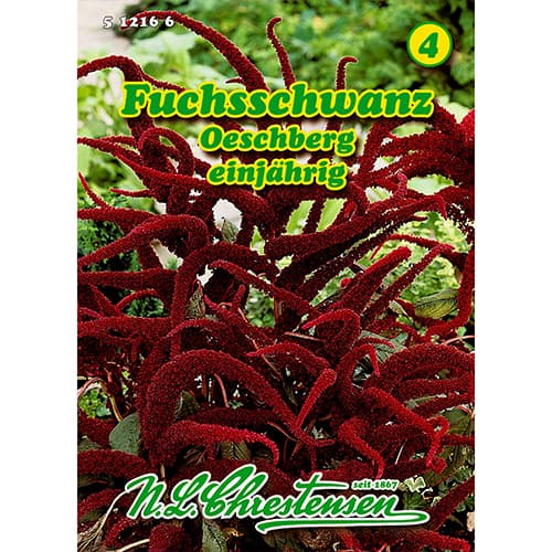 1 szt, Fuchsschwanz Oeschberg (Amaranthus) - Samen: Ilość w opakowaniu: 1 Stück
