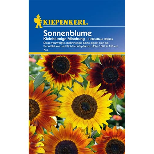 1 szt, Sonnenblume Kleinblumige Mischung - Samen: Ilość w opakowaniu: 1 Stück