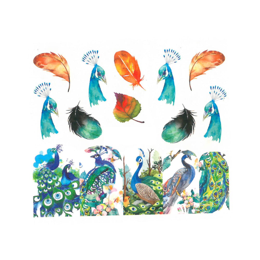 Naklejki wodne do paznokci pawie BN-1206