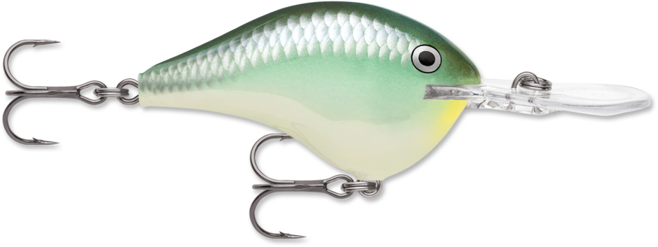 Rapala Wobler DT 16 Pływający 7cm #BBH
