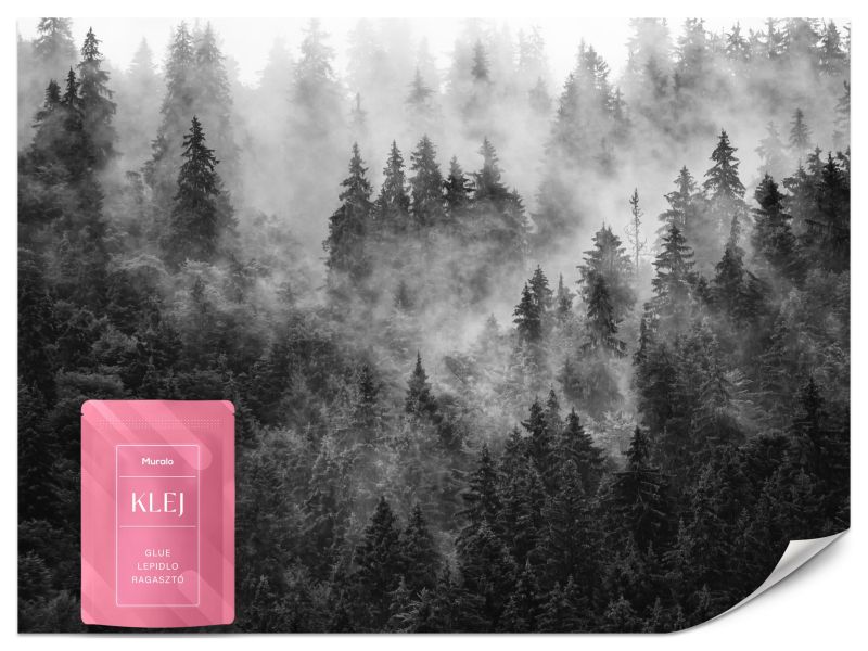 Fototapeta Muralo Las we Mgle Nowoczesna Natura 200x140 cm 1szt.