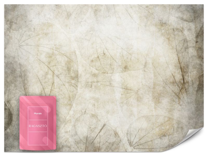 Fototapeta Muralo Liście Beton Abstrakcja 150x105 cm 1szt.