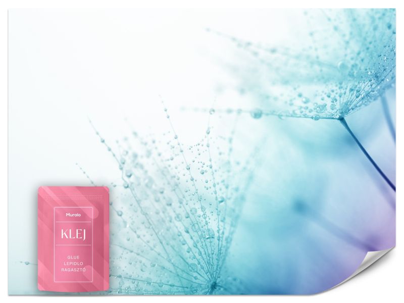 Fototapeta Muralo Jasne Dmuchawce Mniszek Lekarski 150x105 cm 1szt.