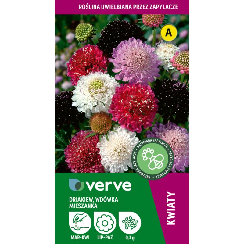 Nasiona drakiew mix Verve