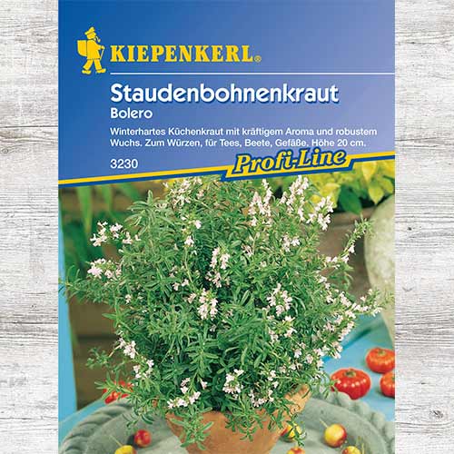 1 szt, Cząber górski Bolero - Nasiona: Ilość w opakowaniu: 1 opak