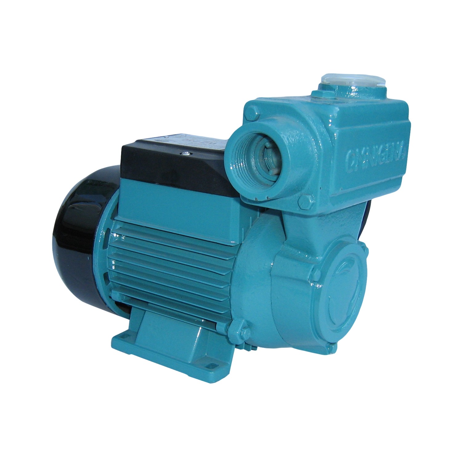 Pompa ogrodowa WZ 250