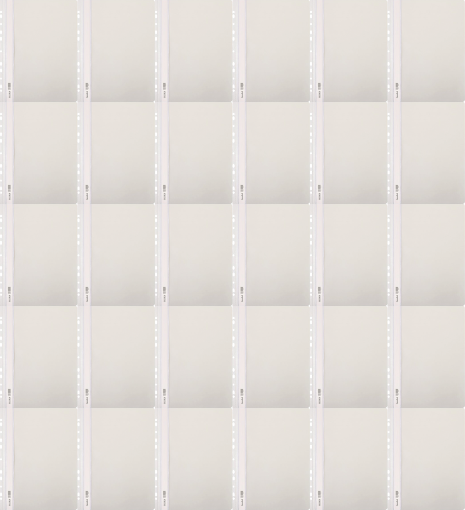 60x Skoroszyt plastikowy oczkowy Biurfol, twardy, A4, do 200 kartek, biały