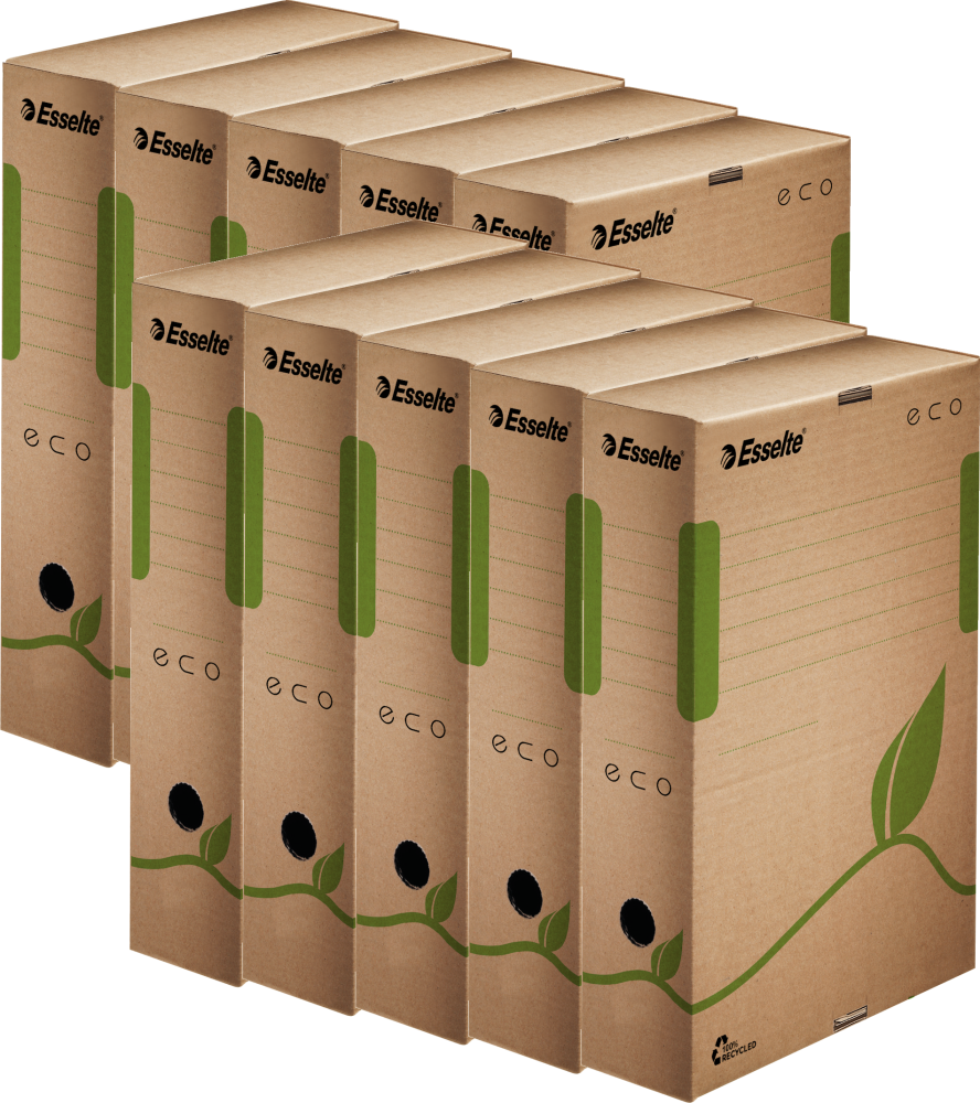 10x pudło archiwizacyjne Esselte Eco, do luźnych dokumentów, 80mm, brązowy