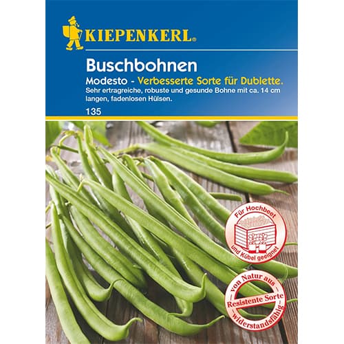 1 szt, Buschbohne Modesto - Samen: Ilość w opakowaniu: 1 Stück
