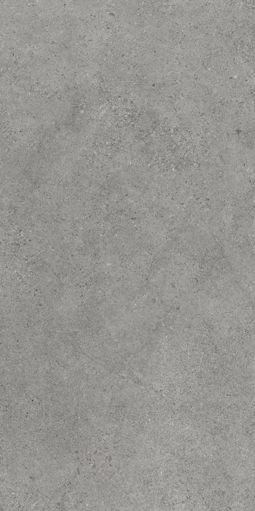 Paradyż Authority Grey płytka ścienno-podłogowa 119,8x59,8 cm szara