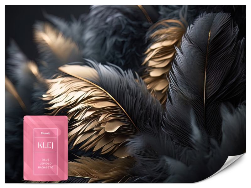 Fototapeta Muralo Czarno-Złote Pióra 250x175 cm 1szt.