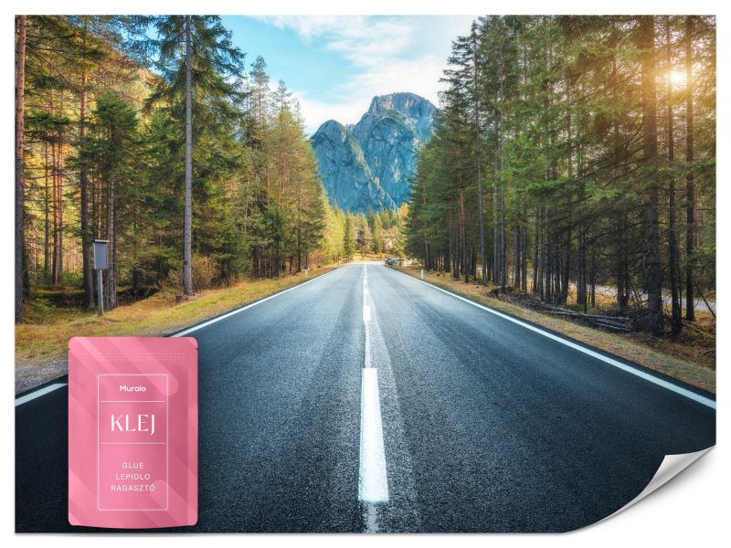 Fototapeta Muralo Droga w Górskim Lesie Krajobraz 350x256 cm 1szt.