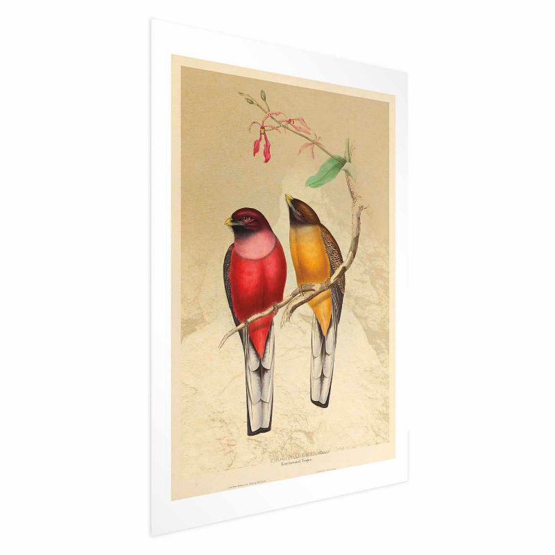 Plakat Artgeist Ptaki na gałązce 40x60 cm bez ramy 1 szt