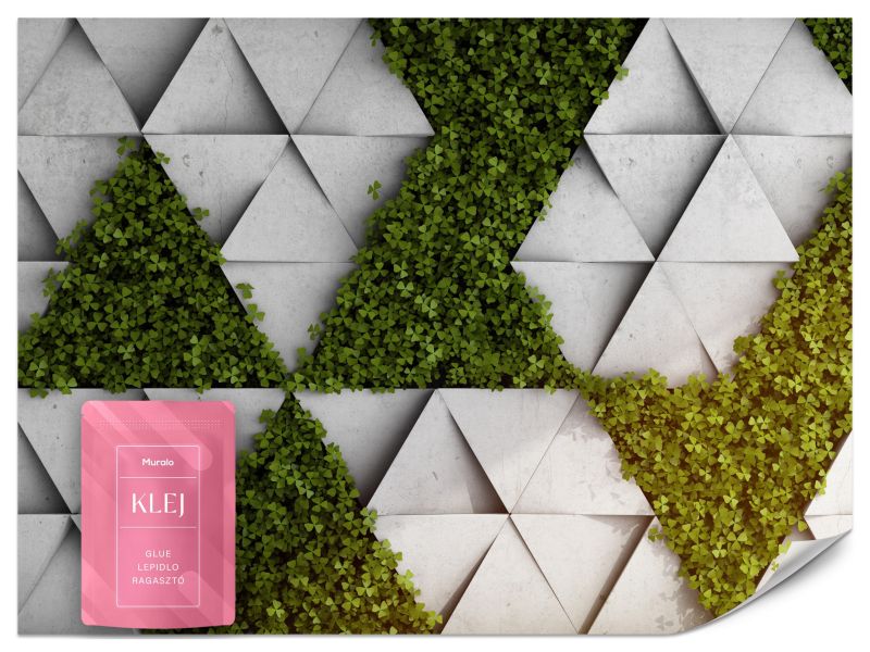 Fototapeta Muralo Koniczyna i Betonowe Trójkąty 3D 300x210 cm 1szt.