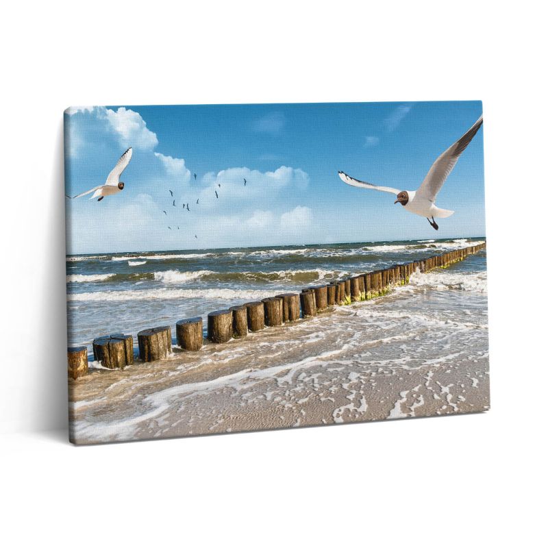 Obraz na płótnie Wallfluent 80x60 cm Ptak nad morzem 1 szt.