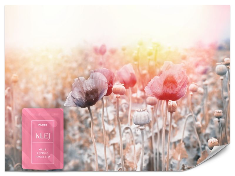 Fototapeta Muralo Pole Maków Natura 450x315 cm 1szt.