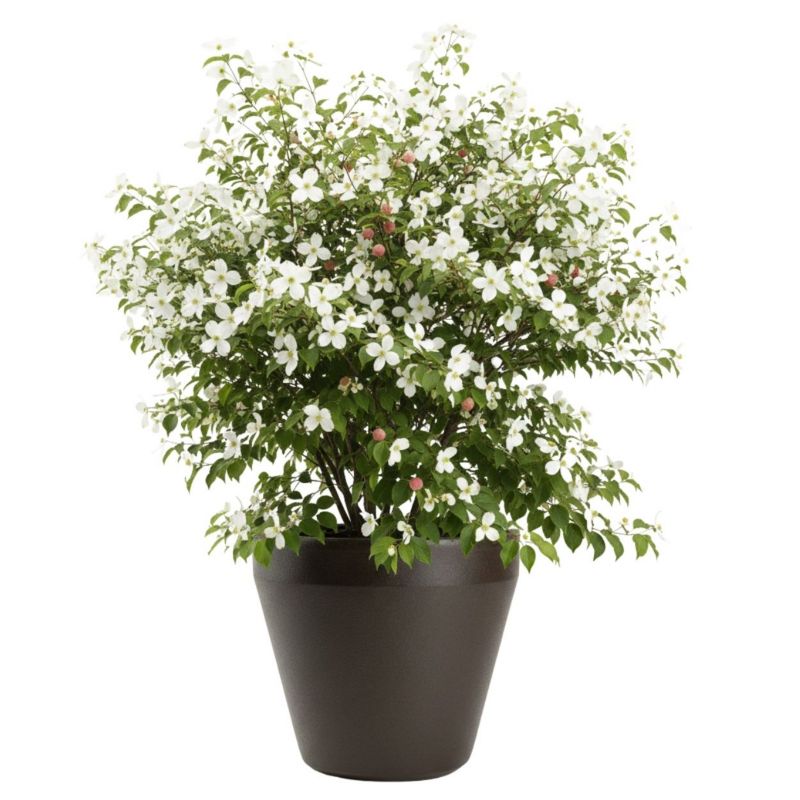 Donica Purea HowHomely ogrodowa duża mokka h41,2x46,4 cm 1 szt.