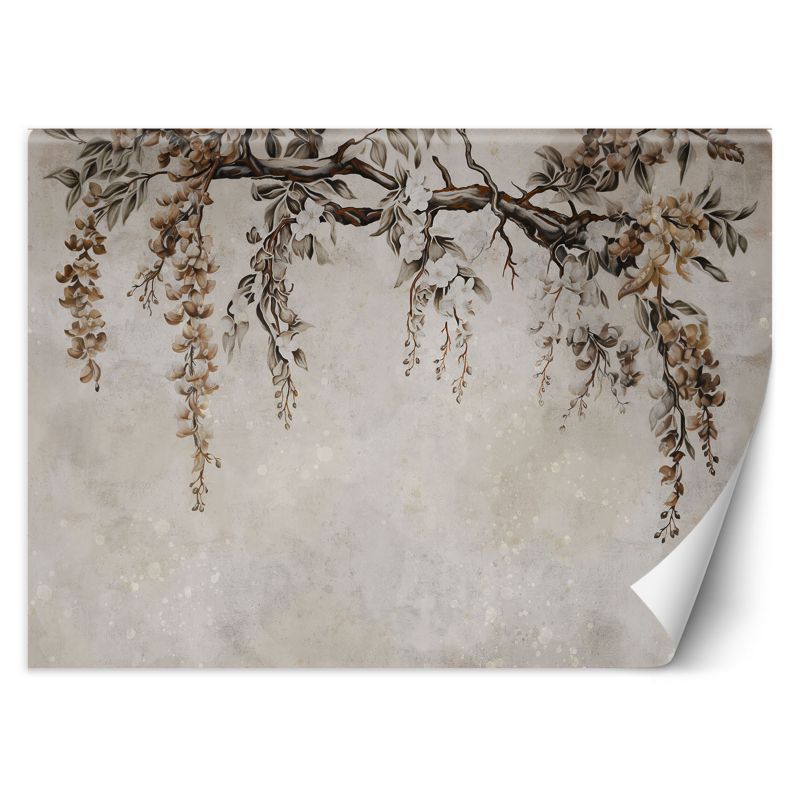 Fototapeta Feeby Kwiaty akacji 150x105 1 szt