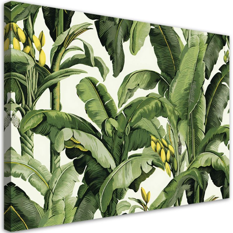 Obraz do salonu pokoju Feeby Zielone Liście bananowca 100x70cm 1szt
