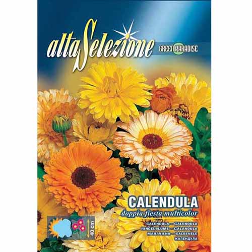 1 szt, Nagietek lekarski półpełny, mieszanka kolorów Morami - Nasiona: Ilość w opakowaniu: 2.5 g