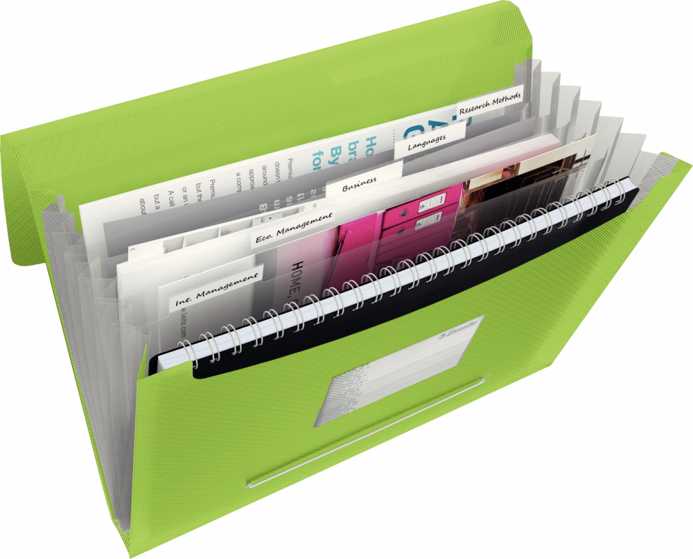 Teczka z przegródkami Esselte Vivida, A4, 6 przegródek zielony