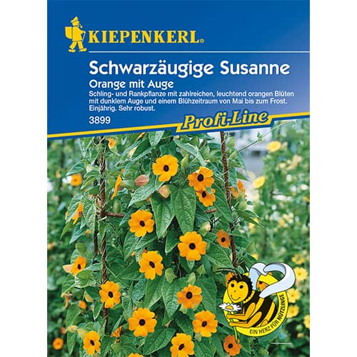 1 szt, Thunbergia Orange mit Auge - Samen: Ilość w opakowaniu: 1 Stück
