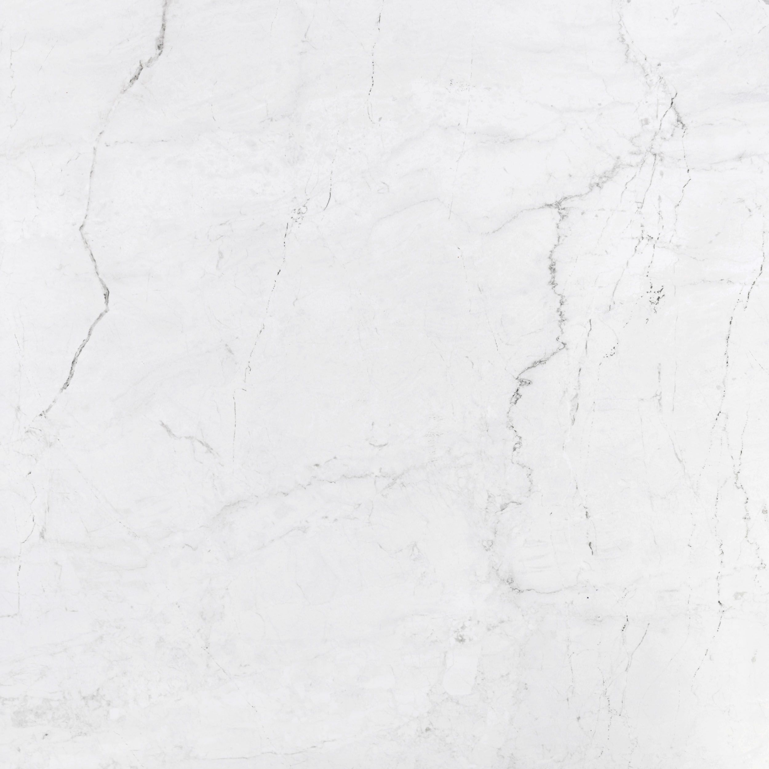 Euroceramic Attica płytka ścienno-podłogowa 59,6x59,6 cm biały lappato