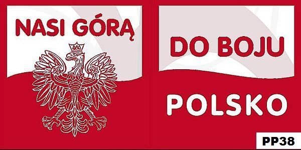 PODUSZKI NA KAŻDĄ OKAZJĘ 40x40 wz. PP38