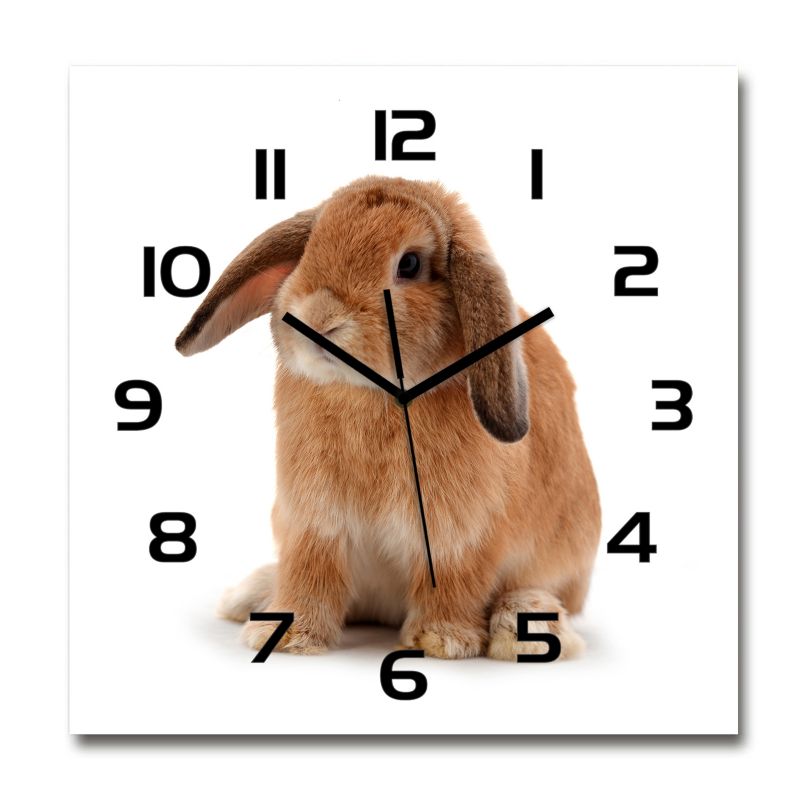 Zegar szklany Tulup Rudy królik czarne wskazówki 30x30 cm cm cichy 1 szt.