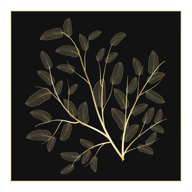 Obraz Deco box Suszki gałązka 50 x 50 cm