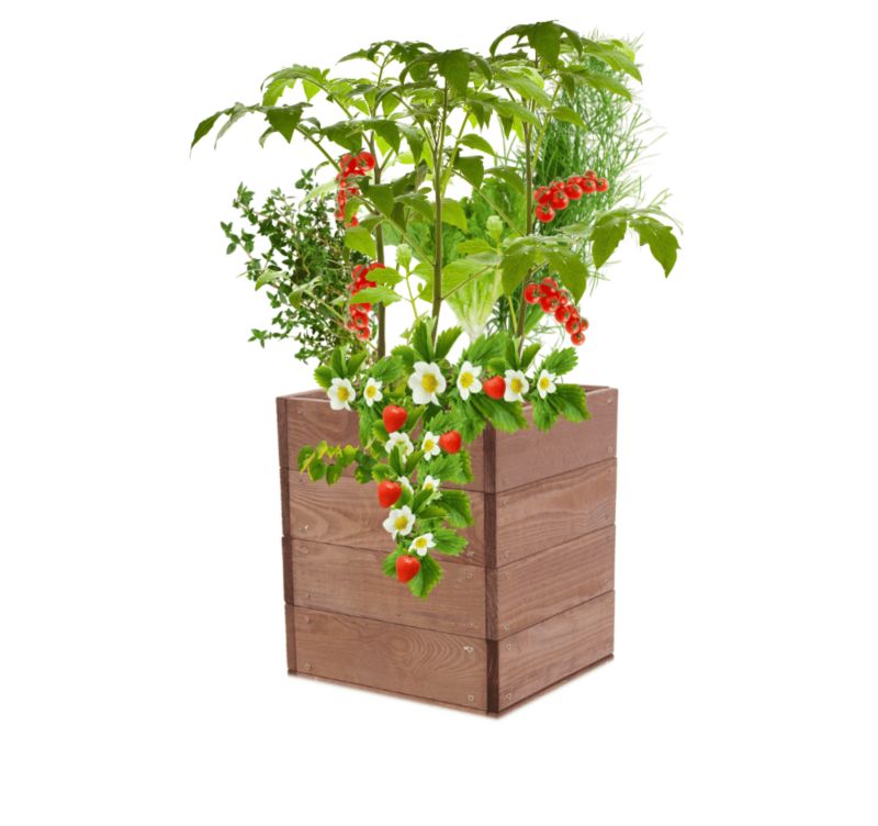 Skrzynia na warzywa MODO24 grządka podwyższona brązowa impregnacja 36x33x30 cm 1 szt.