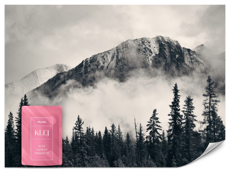 Fototapeta Muralo Las Czarno Biały Krajobraz 450x315 cm 1szt.