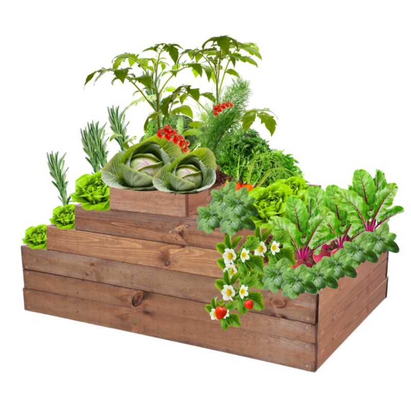 Grządka warzywna MODO24 regulowana inspekt 54x117x60 cm brązowe impregnowane drewno 1 szt