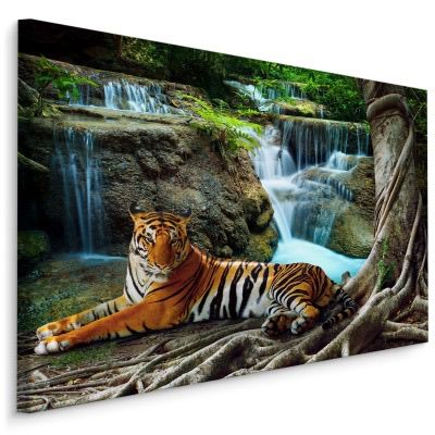 Obraz Muralo Tygrys Wodospad Drzewo Krajobraz 120x80 cm 1 szt.